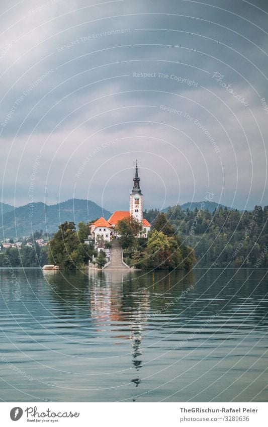 Lake Bled Nature Blue Gray Black White Church Island Reflection Mountain lake bled Slovenia Travel photography Valued Fishing (Angle) Clouds Tree Colour photo