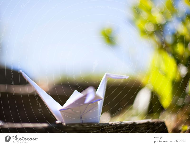 In the wild Environment Nature Plant Animal Spring Natural Origami Crane Colour photo Exterior shot Close-up Deserted Day Shallow depth of field