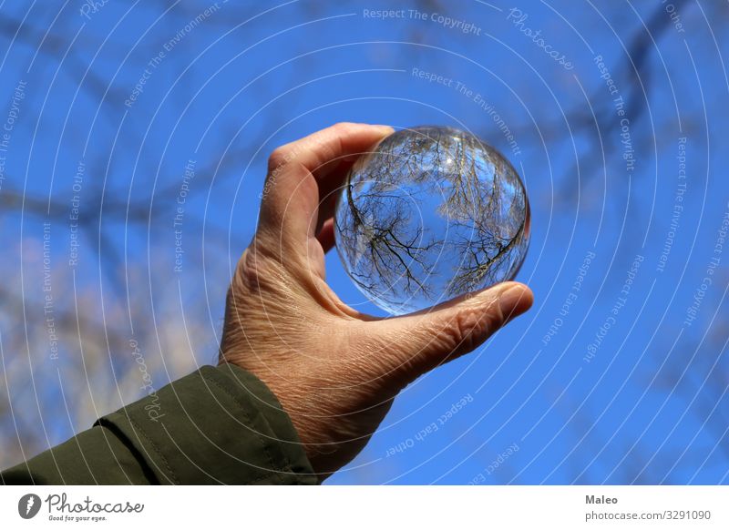 Trees and blue sky through a transparent glass ball Ball Beautiful Blue Forest Sky Transparent Banner Reflection Background picture Bright Crystal Glass Light