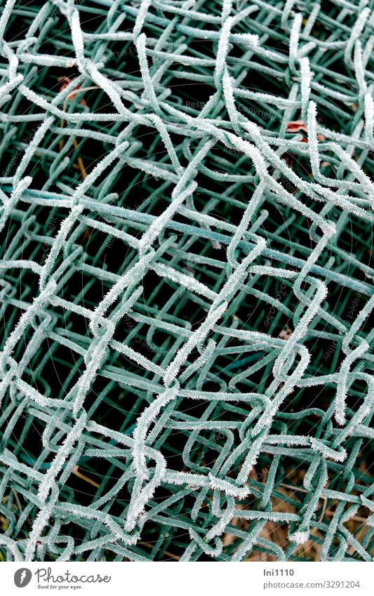 coiled Winter Ice Frost Garden Steel Plastic Green Turquoise White Wire netting fence Hoar frost Rolled Storage Gardening Structures and shapes Overlaid