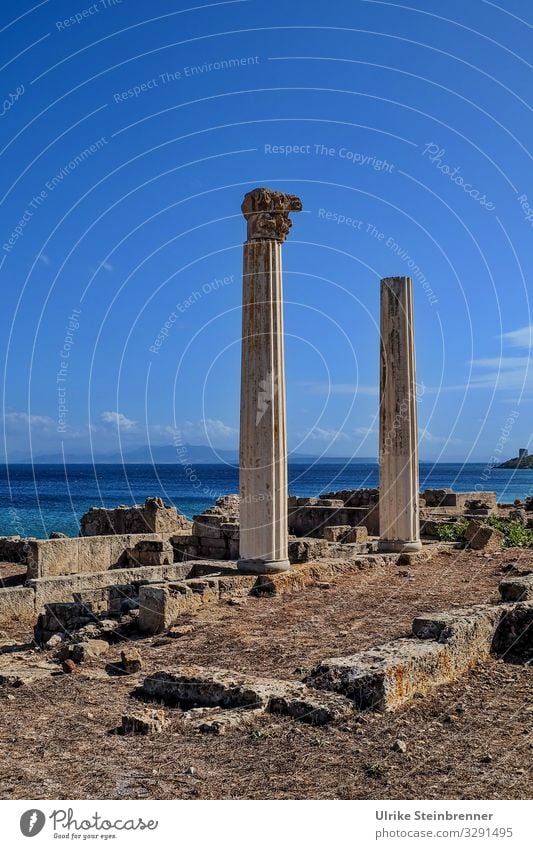 Romanesque columns in the ruins of Tharros, Sardinia Column Dorian excavation Masonry Old times History of the Historic Archeology Temple Temple complex