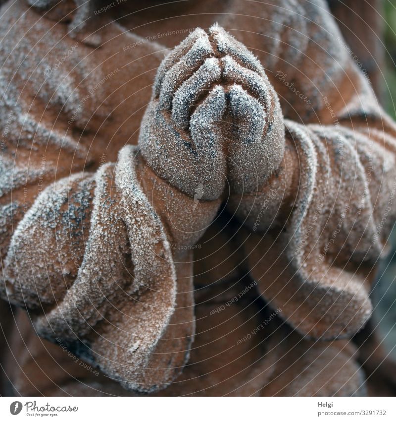 Praying hands of an angel covered with hoarfrost Winter Ice Frost Angel Hand Stone Sign Freeze Esthetic Exceptional Uniqueness Cold Brown White Emotions Hope