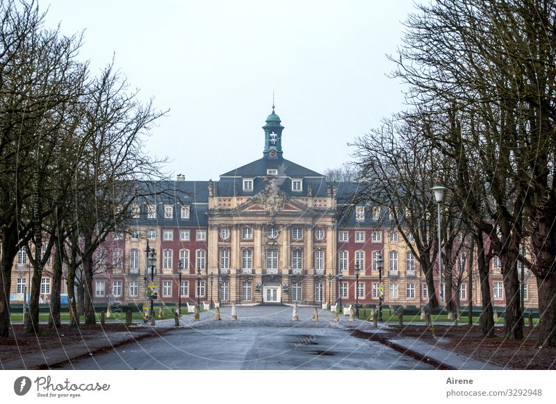 direct road Münster Gray Bad weather Avenue Approach road Castle Castle grounds Central perspective Symmetry Tourist Attraction Facade Baroque Tower Column Wide