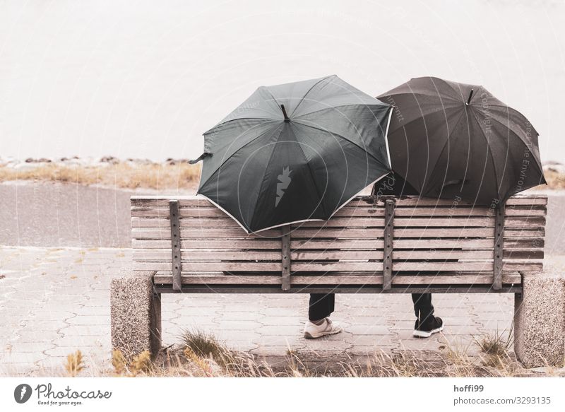 two people in the rain with two umbrellas and one visible leg each on a bench photographed from behind. Relaxation Calm Leisure and hobbies Trip Ocean Island