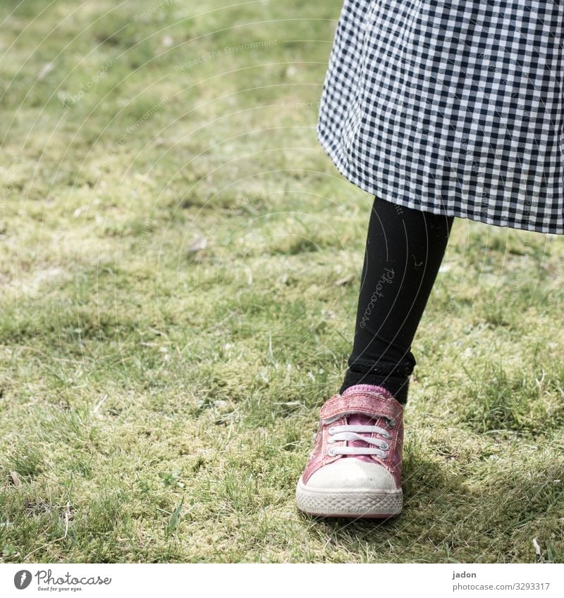 the sense of the sock. Style Legs Feet 1 Human being Nature Grass Meadow Skirt Stockings Tights Sneakers Stand Black Contentment Checkered Colour photo