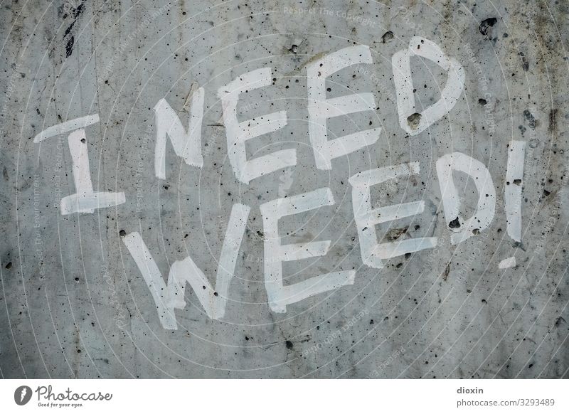 I need weed! Intoxicant Frankfurt Town Downtown Deserted Wall (barrier) Wall (building) Concrete Characters Graffiti Trashy Grass Cannabis Dependence