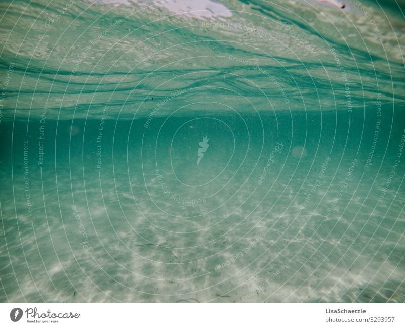 Underwater shot in the sea, sandy beach and clear water. Wave movements from below, refreshing and summery. underwater Ocean vacation Beach bathe be afloat Dive