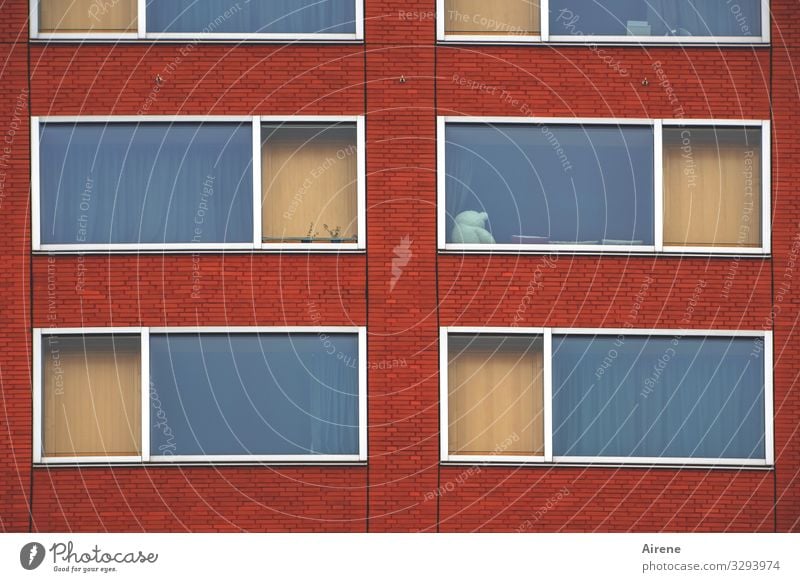 four plus two windows Facade Window Blue Brown Red Town Arrangement Classification Glazed facade Pane Rectangle Simple Considerable Clarity Brick Glass