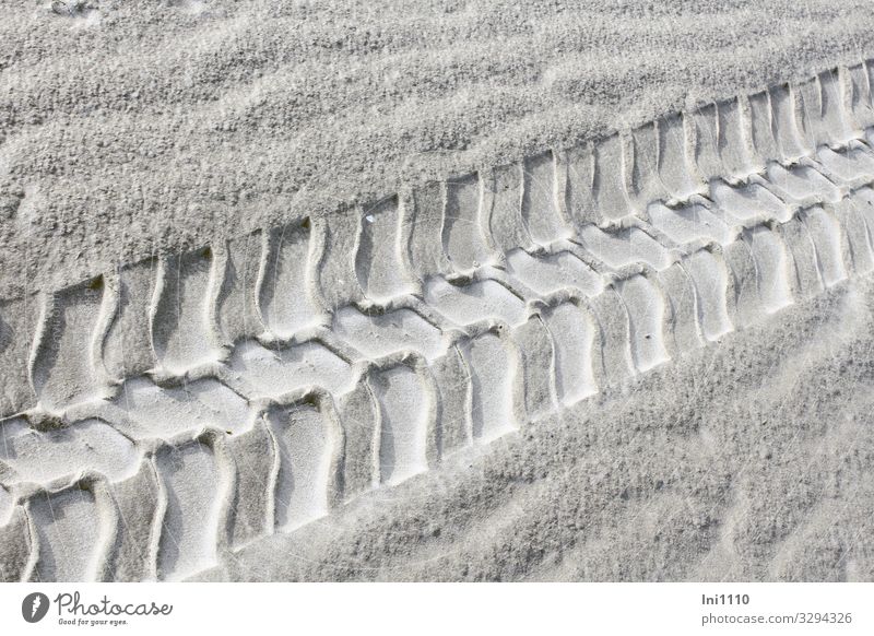 Trace in the sand Beautiful weather Coast Ocean Sand Stripe Gray White Rut Tracks Tractor track Profile Walk on the beach Island Relief Structures and shapes