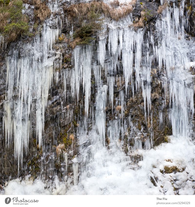Frosty atmosphere Nature Plant Climate Ice Rock Stone Freeze Cold Thorny Brown White Icicle Icefall Winter Alps Wall of rock Hang Colour photo Subdued colour