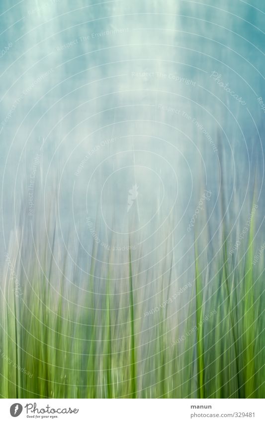 graphic / shaken, not stirred Art Work of art Painting and drawing (object) Nature Sky Spring Summer Grass Meadow Cool (slang) Natural Crazy Blue Green Bizarre