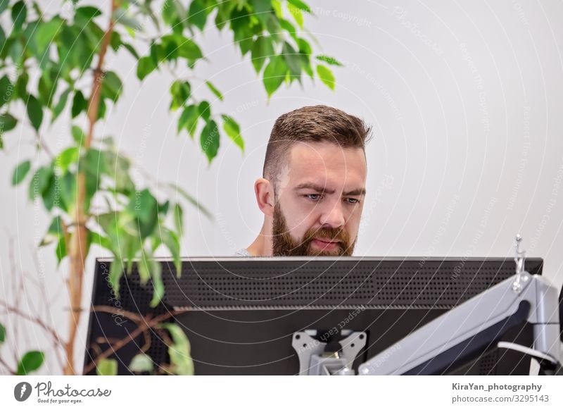 Bearded man works behind computer monitor in modern office with house natural ficus Lifestyle Design Desk Table Work and employment Workplace Office Business