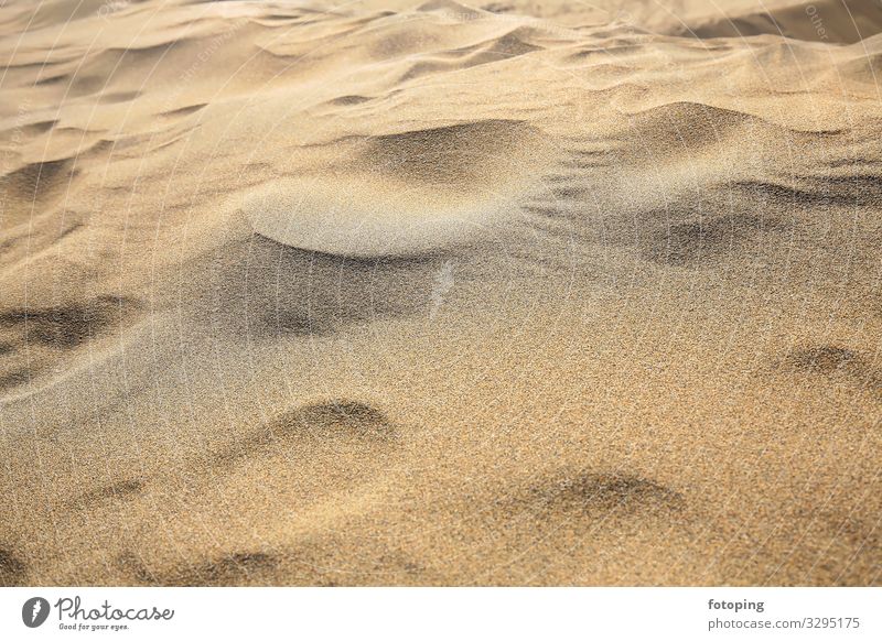 Maspalomas Vacation & Travel Tourism Trip Beach Island Nature Landscape Sand Wind Desert Tourist Attraction Dry Destination Dune dunes Europe Gran Canaria