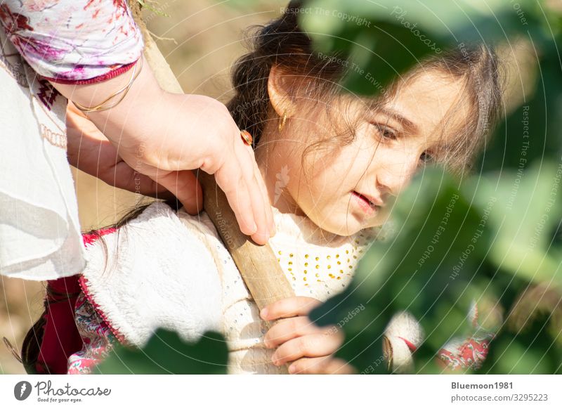 Portrait of a girl at cabbage garden-training younger people Lifestyle Joy Relaxation Playing Freedom Garden Child Work and employment Human being Girl Sister