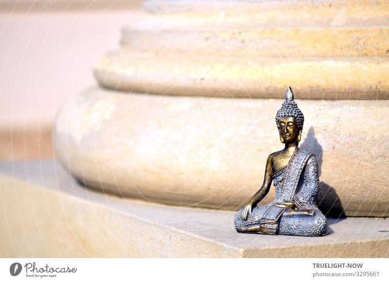 Buddha as pillar saint Lifestyle Joy Happy Health care Alternative medicine Healthy Eating Wellness Harmonious Well-being Relaxation Calm Meditation