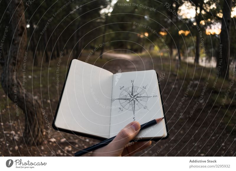 Crop traveler drawing compass on nature forest countryside sketch notebook sunset direction evening trip vacation weekend adventure guidance navigation
