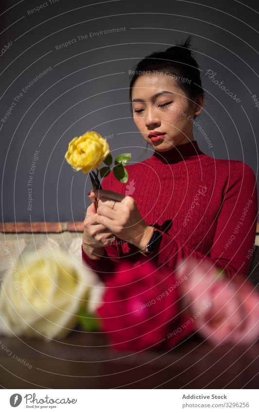 Young Asian lady sitting in shop and working with roses woman floristry asian flower bun young ethnic chinese japanese culture concentration apartment business