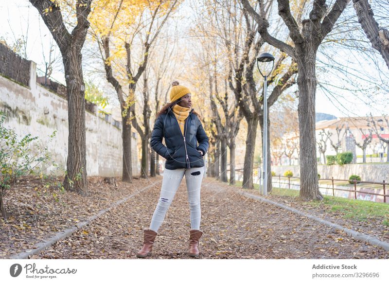 Stylish black woman in hat and jacket in alley in park leaves female road autumn nature stylish african american natural street freedom energy yellow