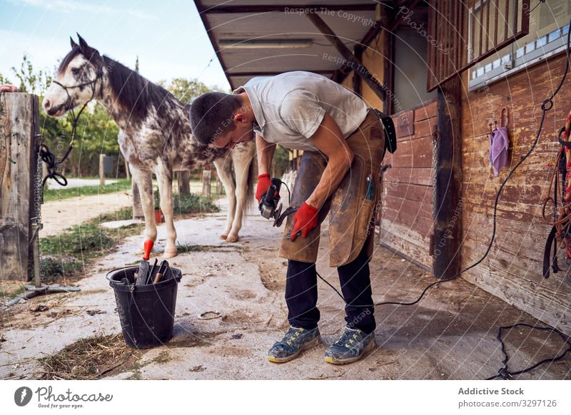 Blacksmith boy changing horseshoe animal standing hoof vet veterinarian healthcare sunlight body concentration stallion paddock loving domestic animal