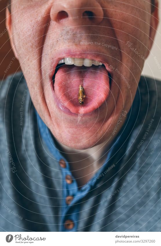Man showing a cricket on his tongue Nutrition Eating Lunch Dinner Lifestyle Exotic Restaurant Human being Adults Fingers Feeding Authentic Disgust Delicious