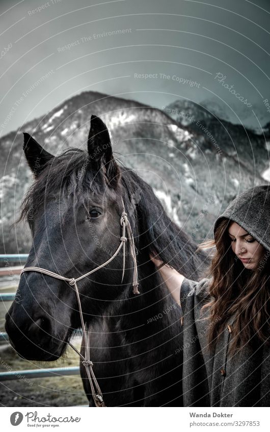 Woman with Horse in a mystical, winter landscape Feminine Adults 1 Human being 18 - 30 years Youth (Young adults) Nature Landscape Winter Snow Alps Mountain