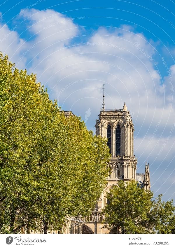 View of the cathedral Notre-Dame in Paris, France Relaxation Vacation & Travel Tourism City trip House (Residential Structure) Clouds Autumn Tree Town