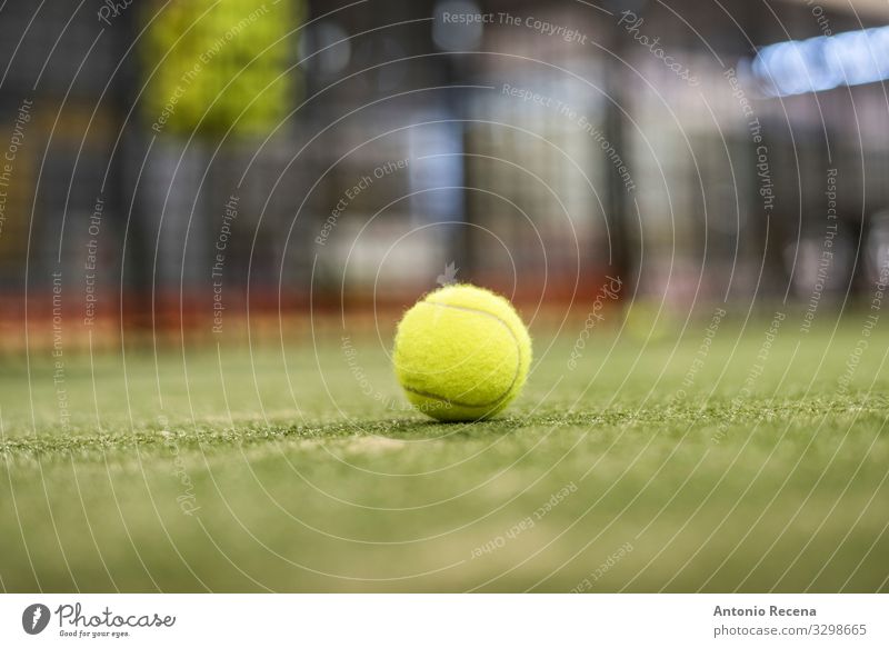 Ball Relaxation Sports Grass Yellow ball paddle tennis padel Tennis Object photography turf net single ball background focus in foreground Single Court building