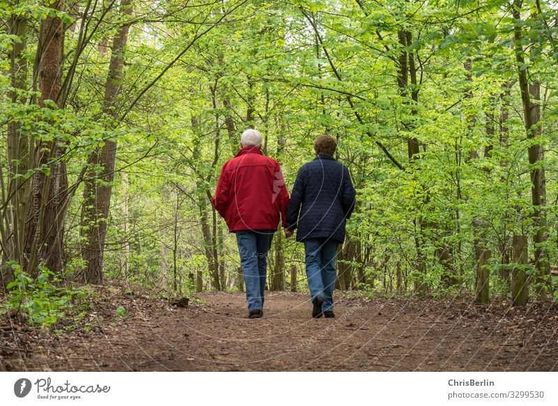 Walk through the spring forest Human being Female senior Woman Male senior Man Grandparents Senior citizen Couple Life 2 60 years and older Nature Landscape