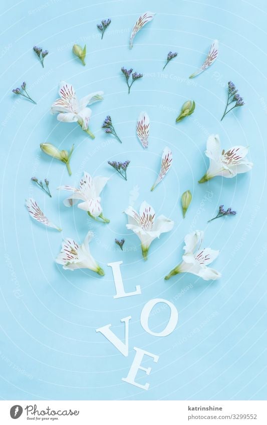 Flowers and word LOVE on a light blue background Design Decoration Wedding Woman Adults Mother Above Blue White Creativity romantic Light blue Word letters Text