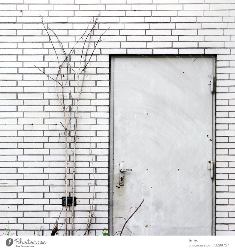 back door Architecture Surface Line Design White Gray Wall (barrier) Wall (building) Old Trashy Manmade structures Brick door handle shrub Death neglect Metal