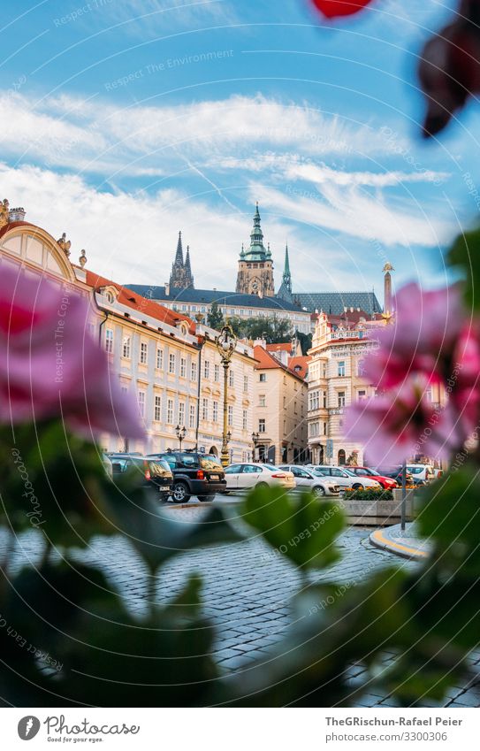 Prague Town Capital city Blue Green Violet Orange Pink Church Flower House (Residential Structure) Czech Republic Clouds Sky Manmade structures Car
