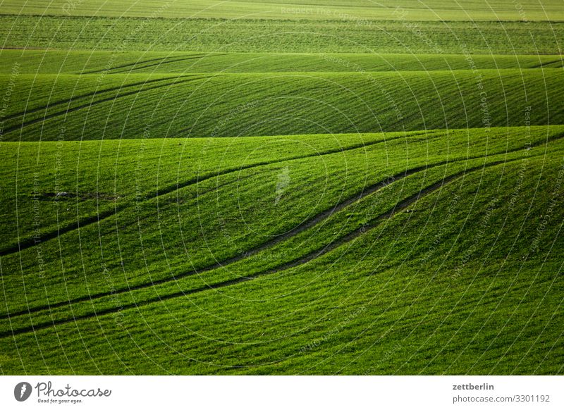 Green field Landscape Mecklenburg-Western Pomerania Rügen Vacation & Travel Agriculture Field winter barley winter wheat Sowing Pasture Waves Bulge Hill Tracks