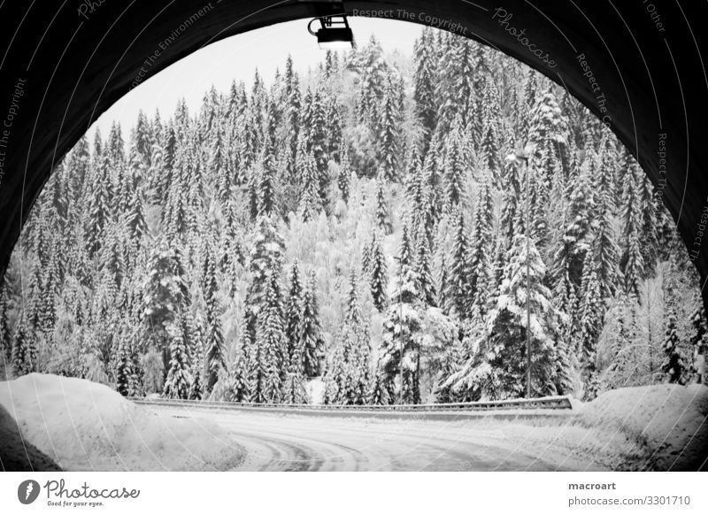 At the end of the tunnel. Winter Snow Landscape Tree Mountain Nature Sky White Dusk Frost Seasons Blue Frozen Beautiful Tunnel Passage Norway Norwegian