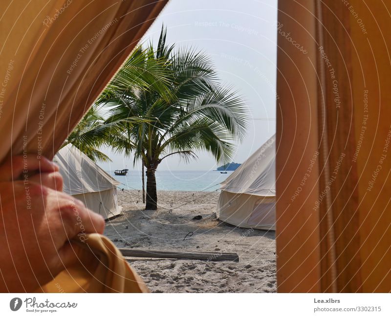 View into paradise Leisure and hobbies Travel photography Tee Pee Sand Air Water Beautiful weather Palm tree Ocean Indian Ocean Island Free Fresh Natural Simple