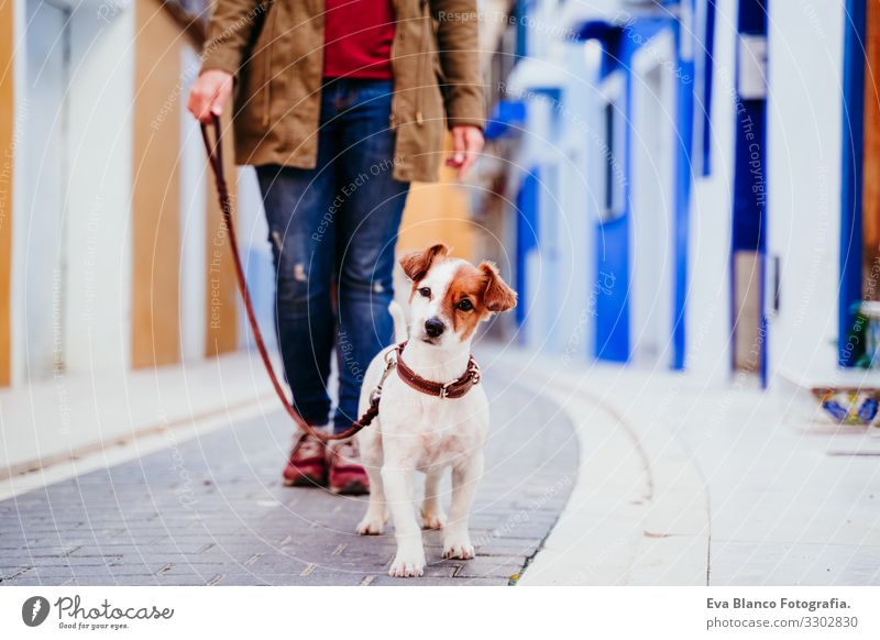 young woman and her cute jack russell dog walking by a colorful street at the city. travel concept Woman Dog yellow background City Multicoloured