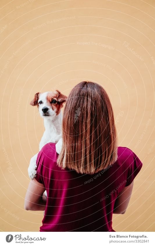 young woman holding cute small jack russell dog on shoulder. yellow wall background Woman Dog Pet Love yellow background City Hold owner Youth (Young adults)