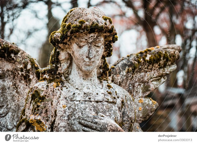 Angel at cemetery Forward Front view Full-length Upper body portrait Deep depth of field Contrast Shadow Light Day Neutral Background Copy Space middle