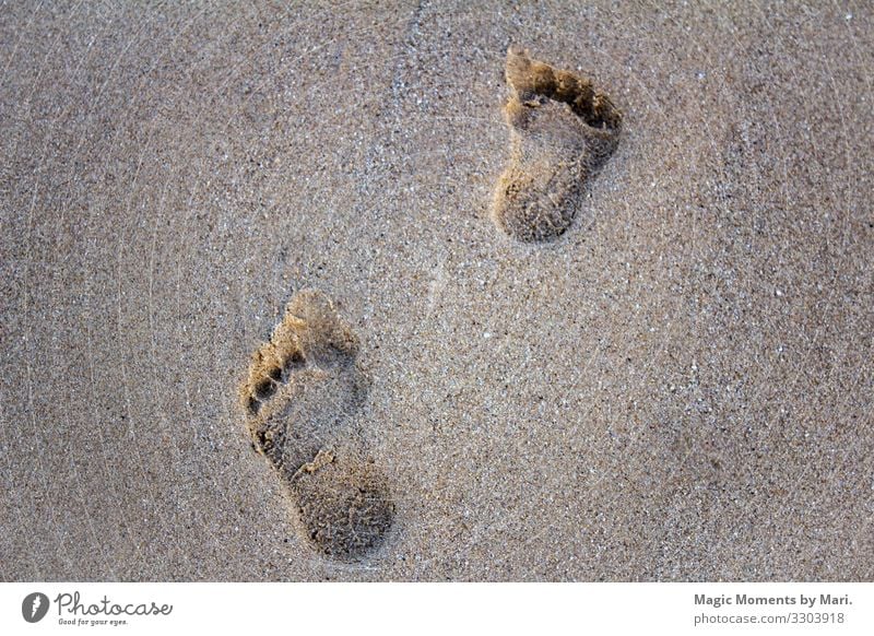 Footsteps in the sand Vacation & Travel Movement Beautiful Feet Sand Beach Summer Colour photo