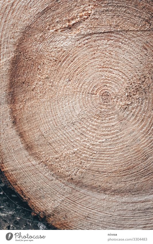 annual rings of a tree Agriculture Forestry Saw Environment Nature Gale Tree Tree trunk Annual ring Wood Sign Characters Line Old Faded To dry up Natural Brown