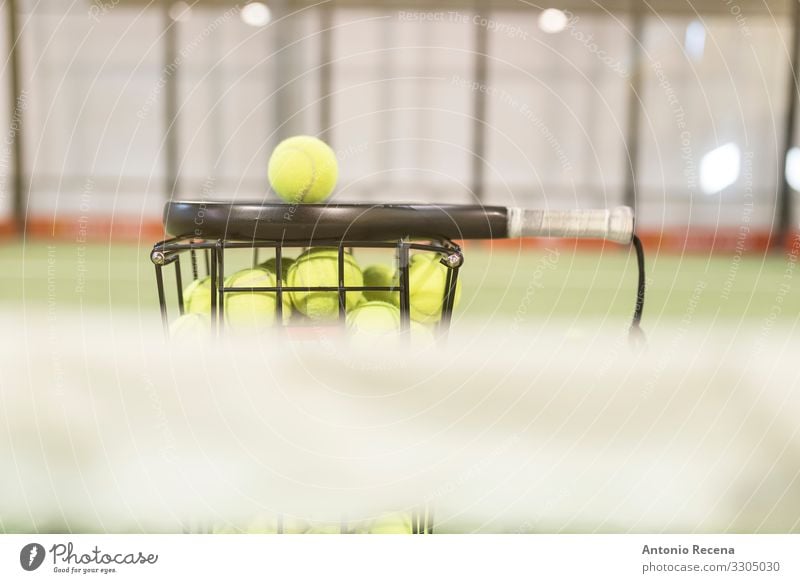 Paddle tennis rackets, balls and basket in court Life Sports Ball Fitness paddle tennis padel Still Life Object photography Racket Court building Playing field