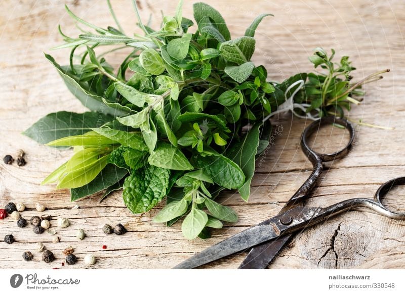 herb bouquet Food Herbs and spices Rosemary Oregano Mint Thyme Bay leaf Pepper Nutrition Eating Organic produce Vegetarian diet Italian Food shear Wood Metal