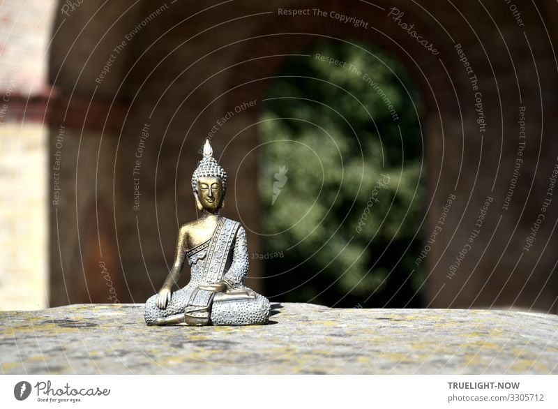 Buddha in front of wall view Happy Wellness Harmonious Well-being Contentment Relaxation Calm Meditation Buddhism Sculpture Subculture Sit Esthetic Elegant