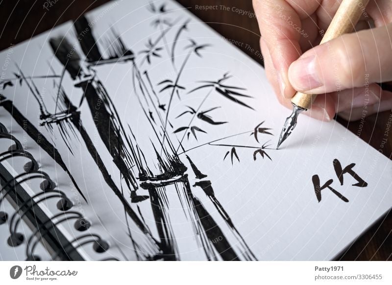 Close-up of a hand using a drawing pen to make an ink drawing of a bamboo in a sketchbook Hand 1 Human being Art Artist Painter Drawing Ink Plant Exotic Bamboo