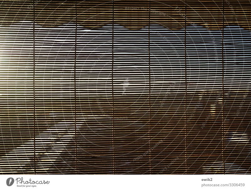 Almost opaque Sky Horizon Beautiful weather Town Building Prefab construction Balcony Venetian blinds Slat blinds Sun blind Wood Safety Screening Narrow Hidden