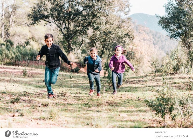 Three cute kids running throw a meadow Lifestyle Joy Happy Beautiful Leisure and hobbies Playing Vacation & Travel Freedom Summer Sports Child Human being