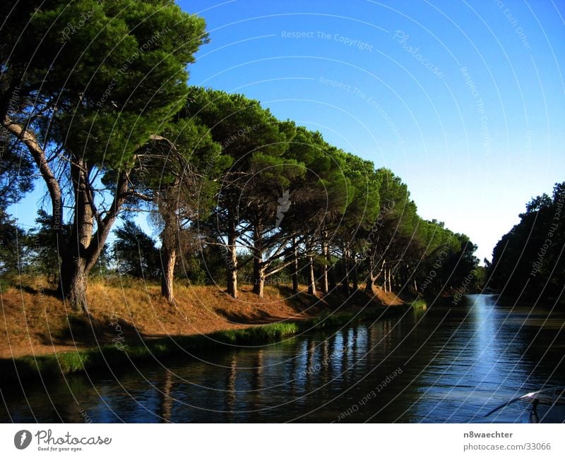 Quiet on the canal Canal du Midi France Infinity Calm Tree Row of trees Coniferous trees Reflection Navigation Water Sky Evening Relaxation