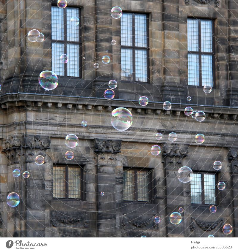 many soap bubbles fly in front of the facade of a historical building Tourism Trip Amsterdam Manmade structures Building City hall Facade Window Soap bubble