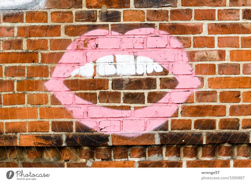 Red lips, white teeth | graffito on a brick wall red lips Graffito Wall (barrier) Teeth Mouth Lips Exterior shot Colour photo Deserted Day