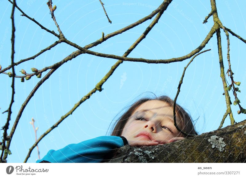 Climbing a tree Parenting Kindergarten Child Girl Life Face Environment Nature Sky Spring Weather Tree Garden Relaxation To enjoy Lie Dream Athletic Happiness