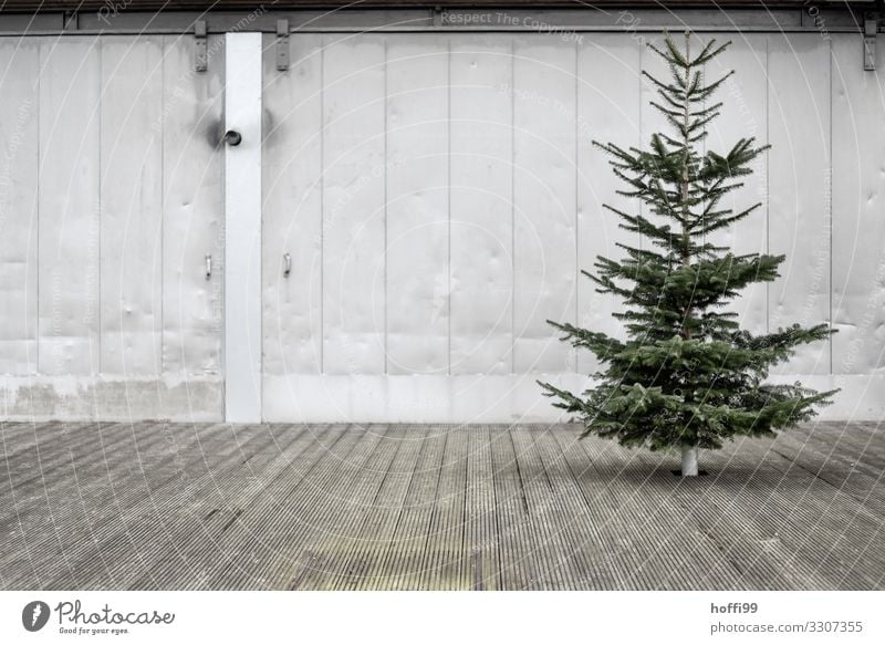 Christmas tree on wooden floor in front of metal wall Tree Building Wall (barrier) Wall (building) Facade Terrace Concrete Wood Steel Poverty Esthetic